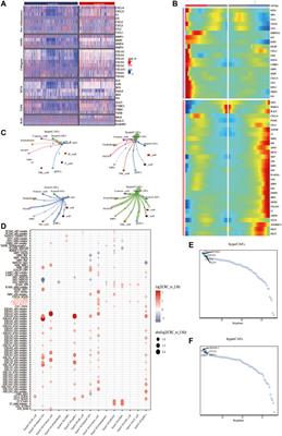 Metabolic-suppressed cancer-associated fibroblasts limit the immune environment and survival in colorectal cancer with liver metastasis